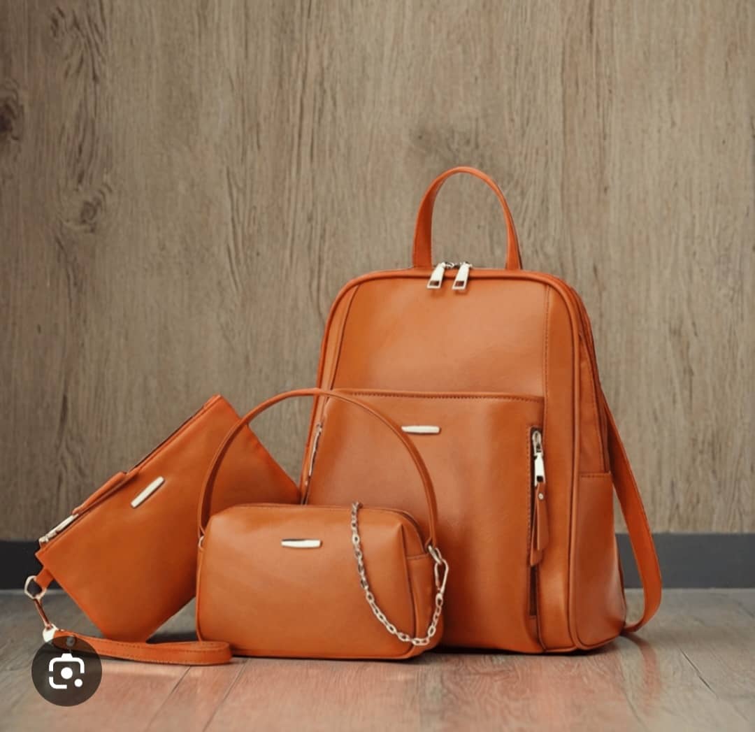 3 in 1 Leather Back Pack